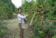 Elsie Greco sampling coffee